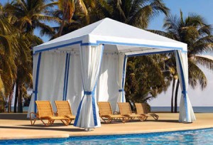 Çadır Kamelya Çeşitleri