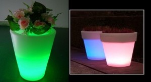 Işıklandırma yapılmış saksılar