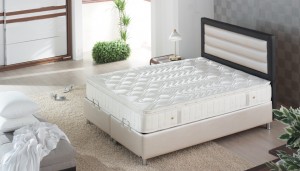 Divan Mobilya Yatak ve Bazalar