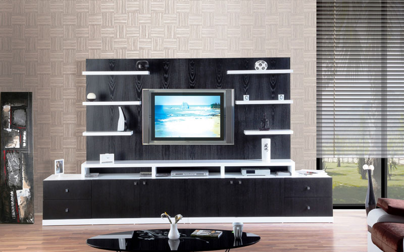 Lake Mobilya Duvar Ünitesi